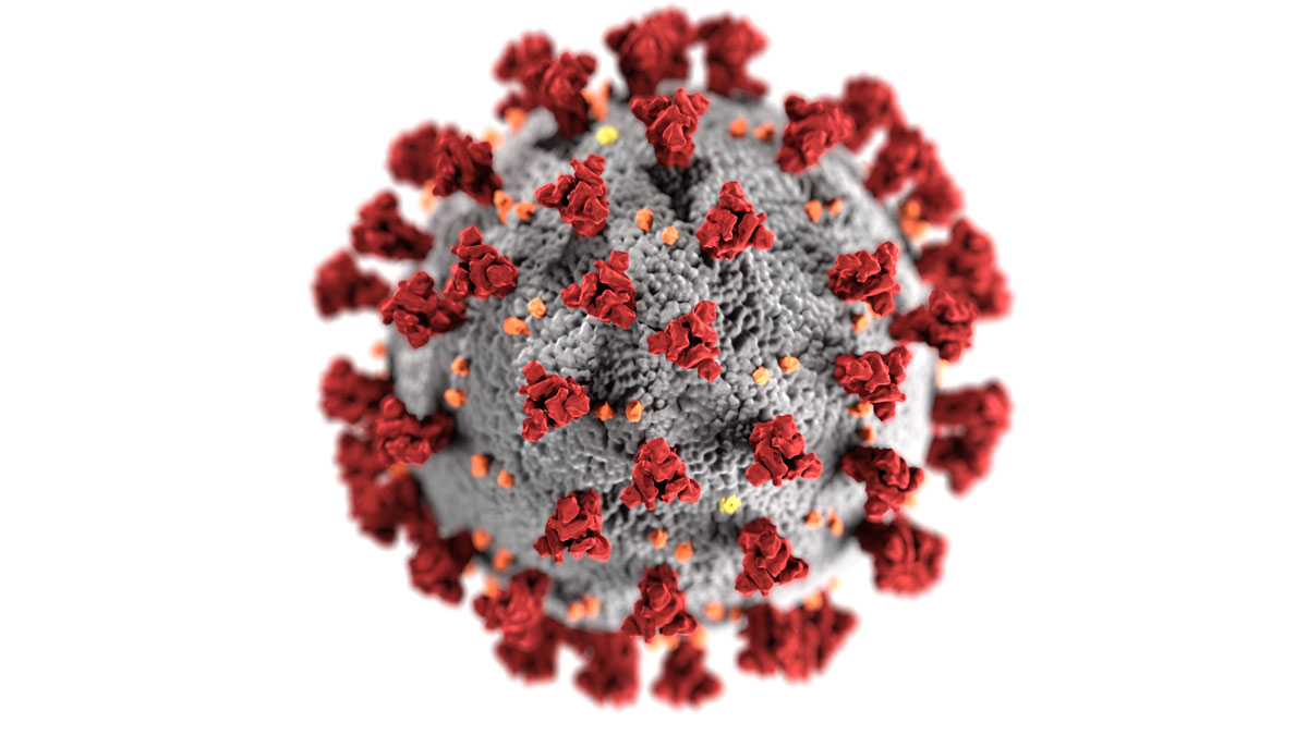 Read the full article on Important updates on Coronavirus