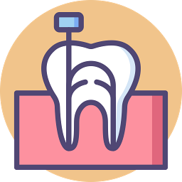 Learn more about Root Canal service